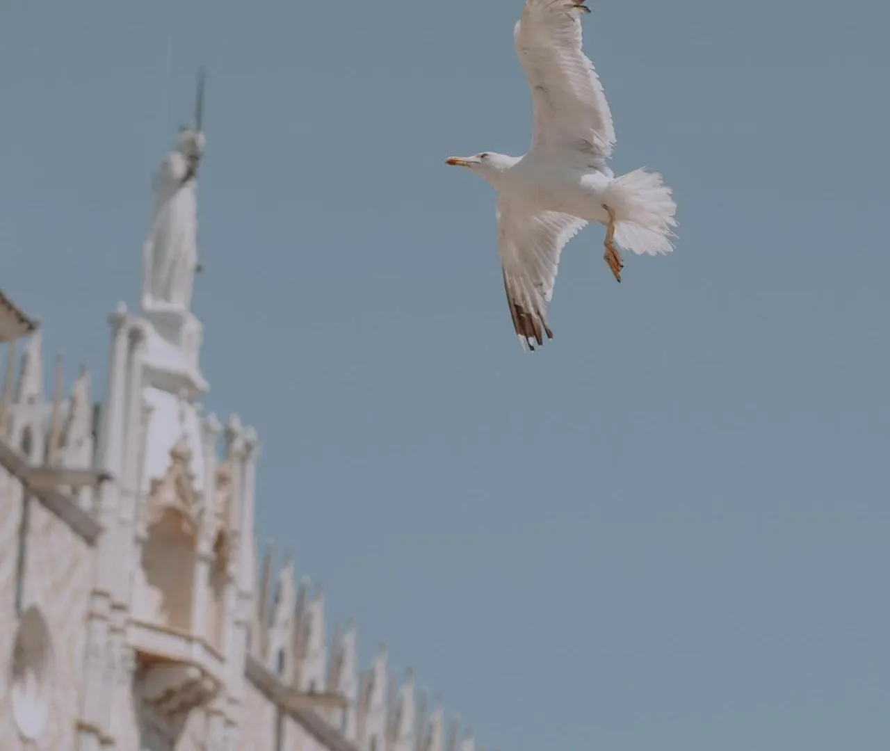 Pensionat Alma Suites Lido di Jesolo Italien